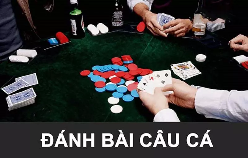 Tìm hiểu thông tin về chơi bài câu cá 